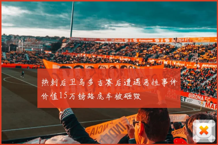 热刺后卫乌多吉赛后遭遇恶性事件价值15万镑路虎车被砸毁